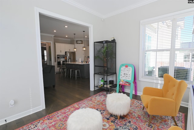 sitting room featuring ornamental molding, dark hardwood / wood-style floors, and sink