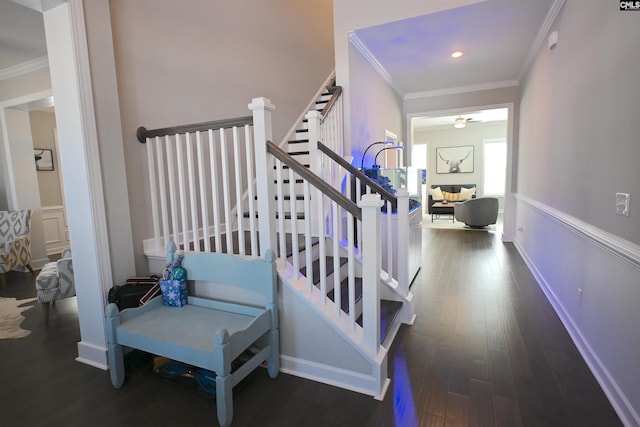 staircase with hardwood / wood-style flooring, ceiling fan, and crown molding