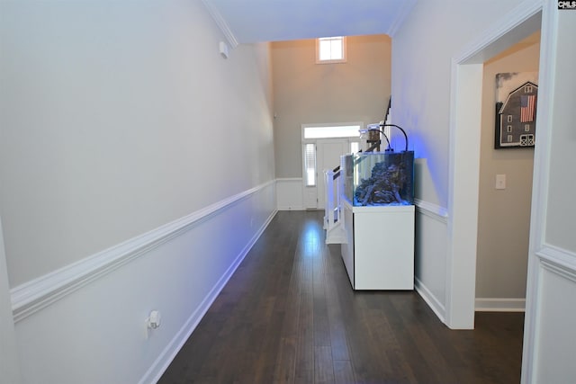 hallway with dark hardwood / wood-style flooring and ornamental molding