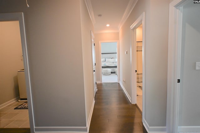 hallway featuring crown molding and dark hardwood / wood-style floors