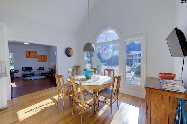 dining room featuring high vaulted ceiling and light hardwood / wood-style flooring