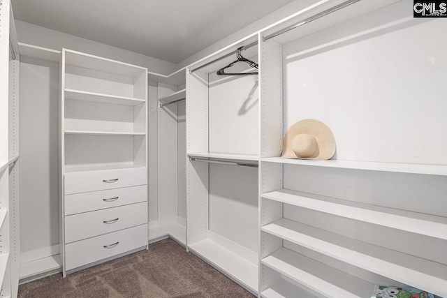 spacious closet featuring dark colored carpet