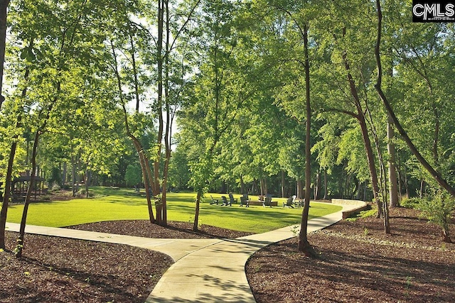 view of home's community featuring a lawn