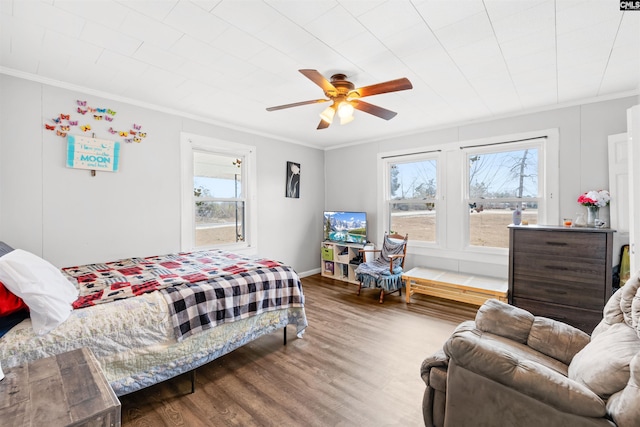 bedroom with multiple windows, wood-type flooring, ornamental molding, and ceiling fan