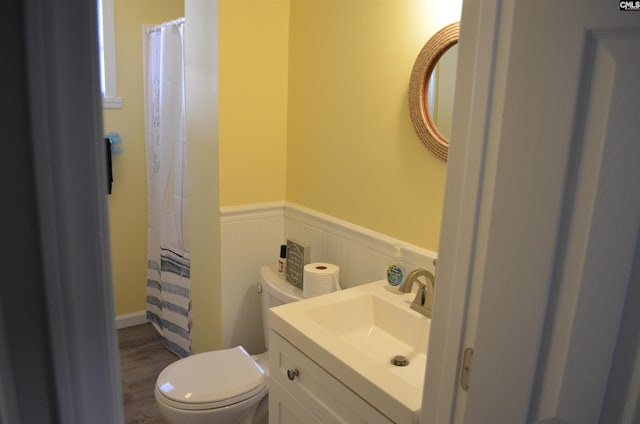 bathroom with vanity, wood-type flooring, and toilet