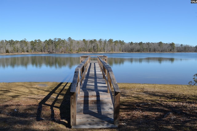 dock area featuring a water view