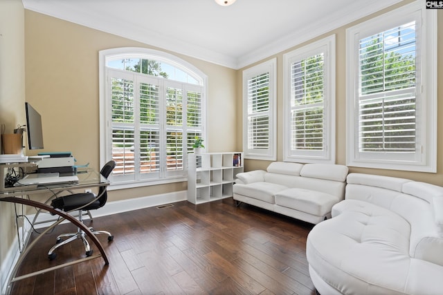 office space with dark hardwood / wood-style flooring and crown molding