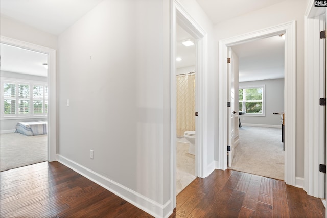 hallway featuring dark hardwood / wood-style floors