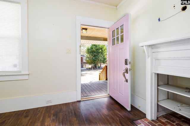 entrance foyer with ornamental molding and dark hardwood / wood-style flooring