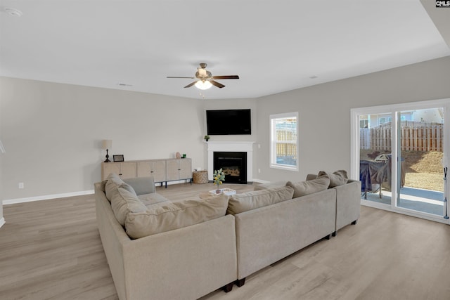 living room with ceiling fan and light wood-type flooring