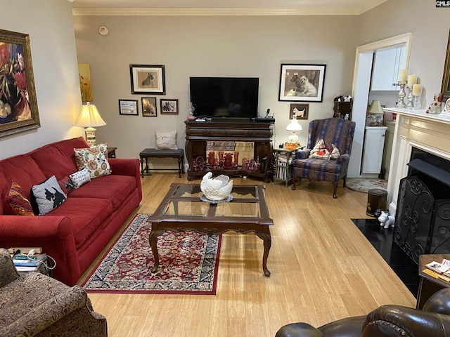 living room with ornamental molding and light hardwood / wood-style flooring