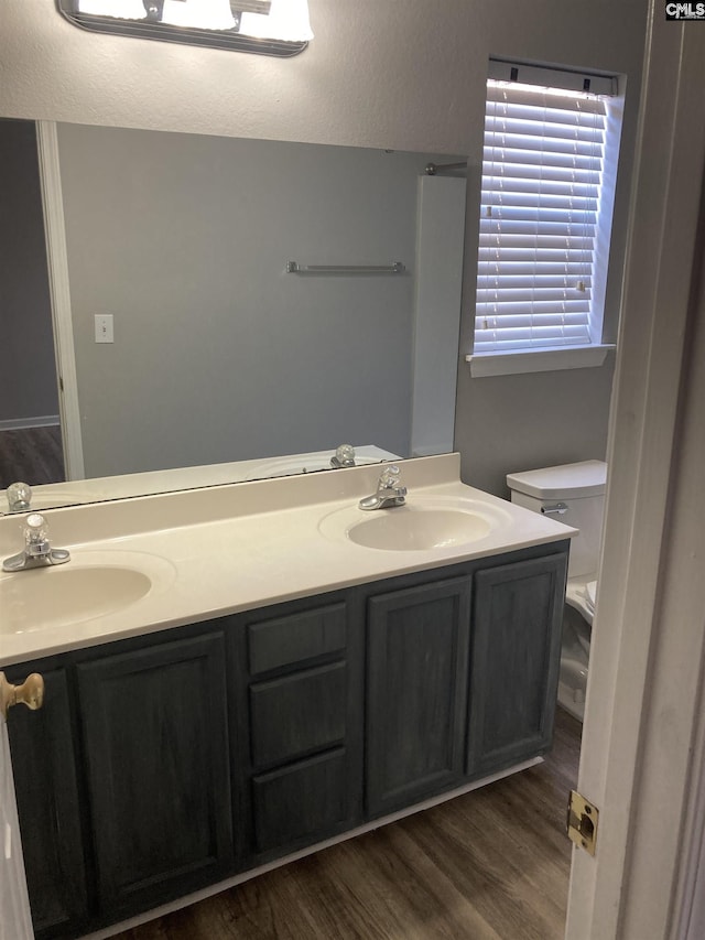 bathroom featuring vanity, wood-type flooring, and toilet