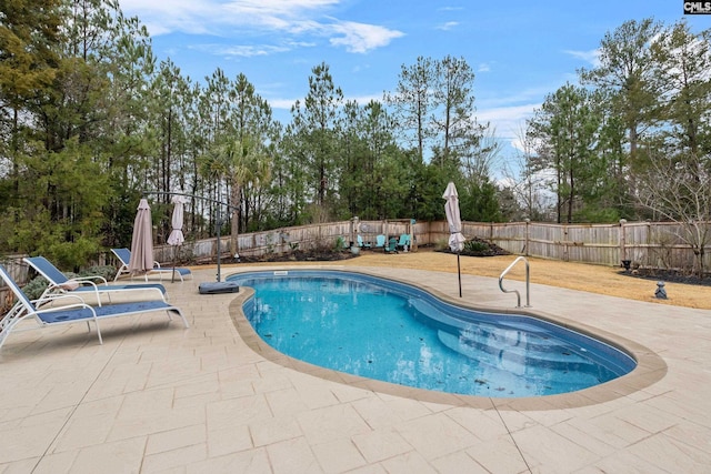 view of swimming pool with a patio area