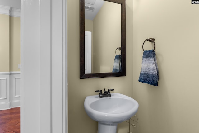 bathroom featuring wood-type flooring and sink