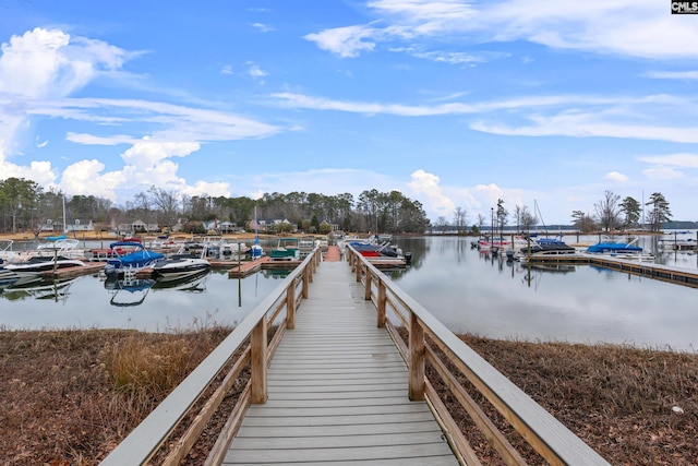 dock area with a water view