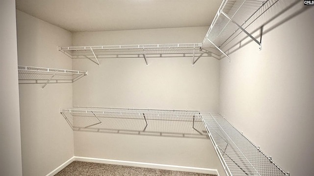 spacious closet with carpet floors