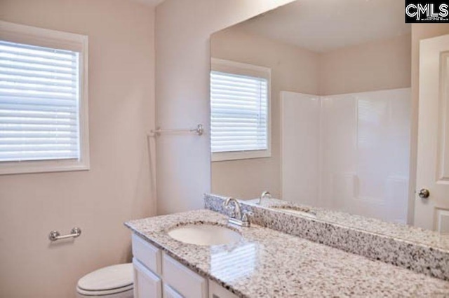 bathroom featuring vanity, a shower, and toilet