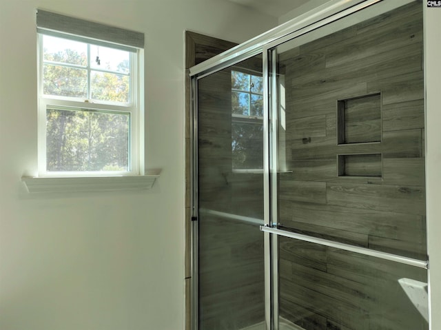 bathroom with an enclosed shower