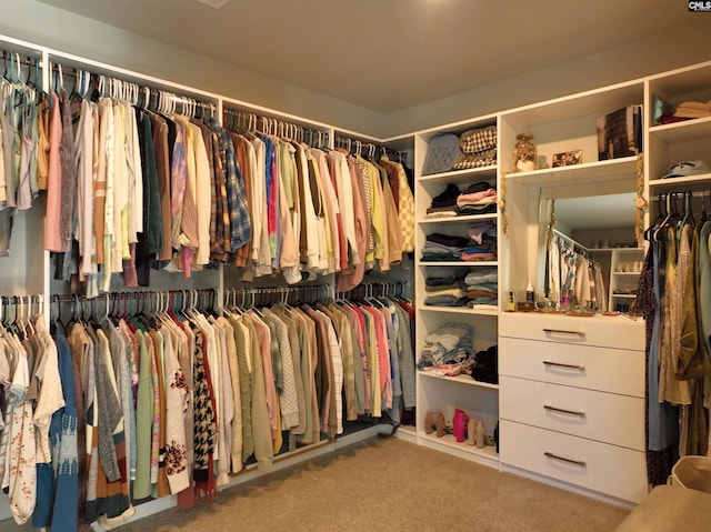 walk in closet with light colored carpet