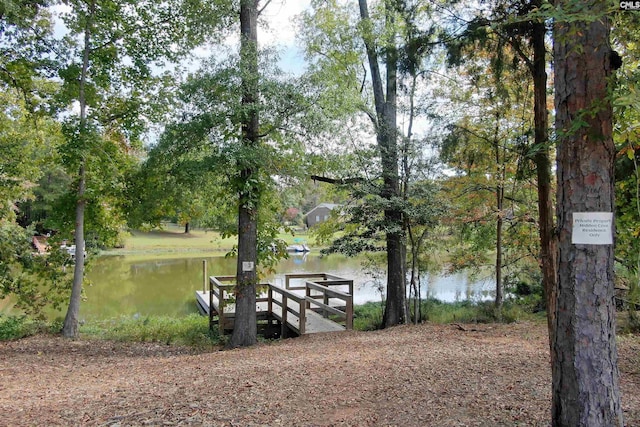 water view featuring a boat dock