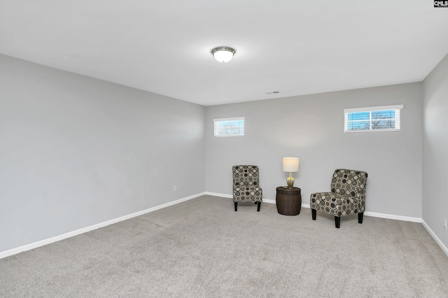 sitting room featuring carpet flooring