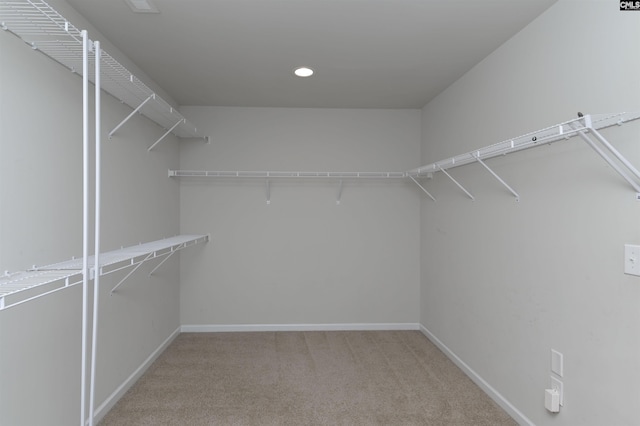 walk in closet with carpet floors