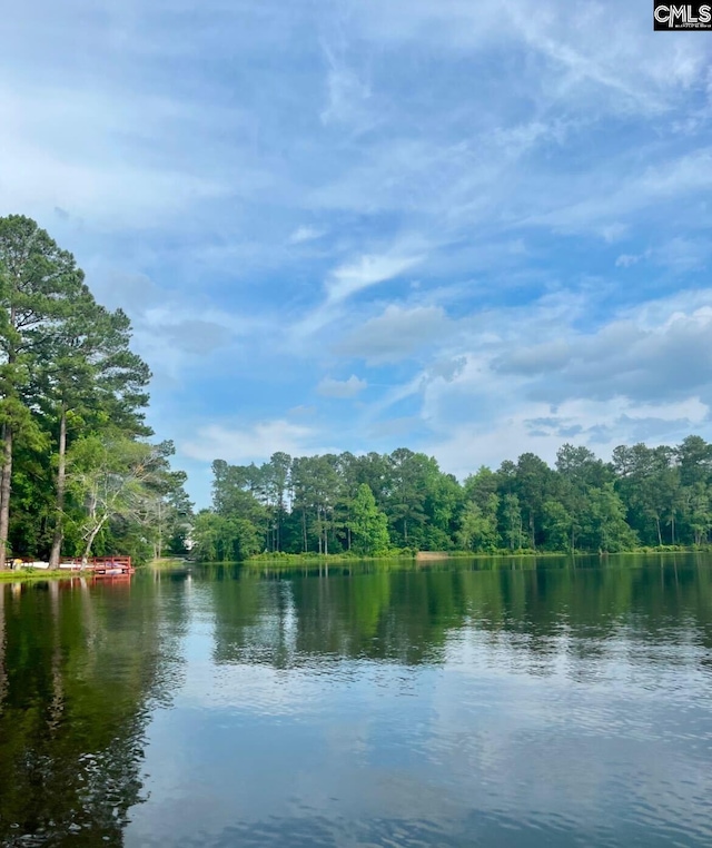 water view featuring a forest view