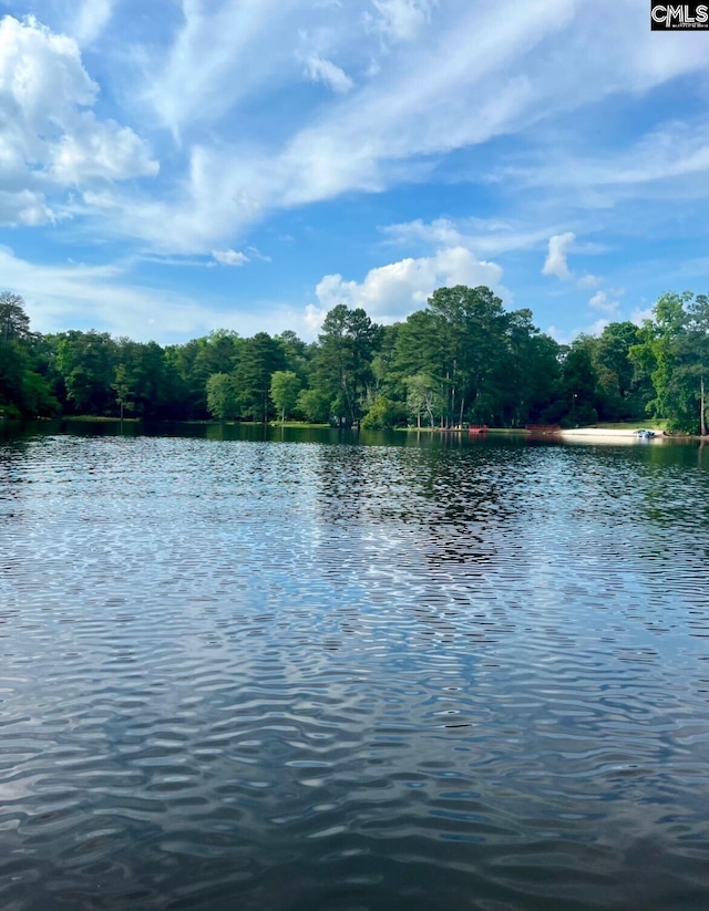 water view featuring a view of trees