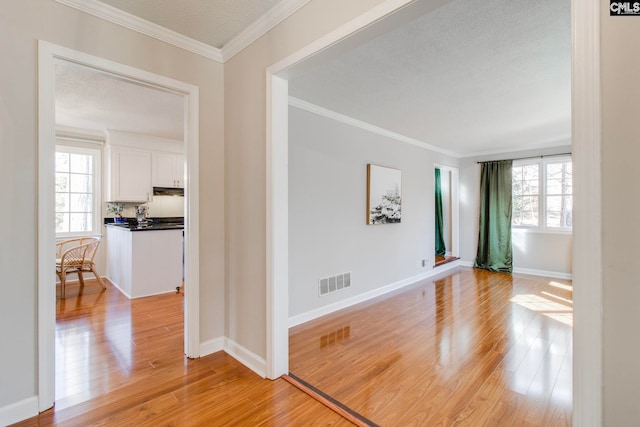 empty room featuring ornamental molding, a healthy amount of sunlight, a textured ceiling, and light hardwood / wood-style floors