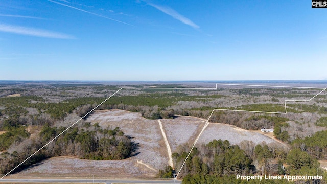 0 Old Belleville Rd, Saint Matthews SC, 29135 land for sale