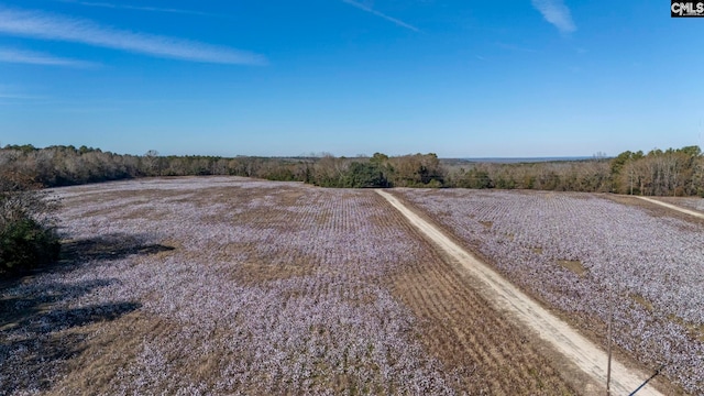 view of yard featuring a rural view