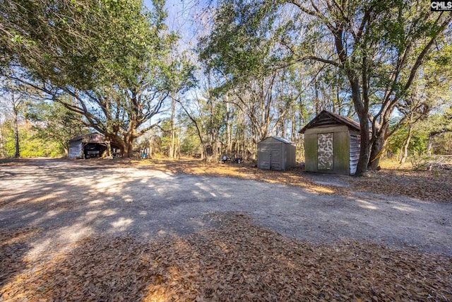 view of yard featuring a shed