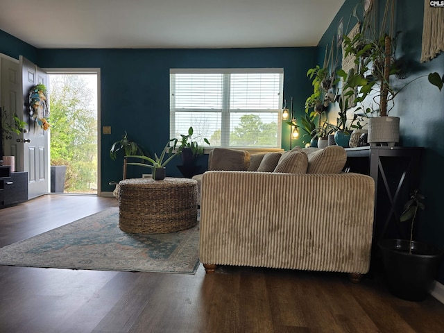 living room with plenty of natural light and dark hardwood / wood-style floors