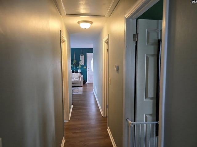 hall featuring dark wood-type flooring