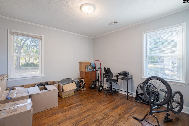 miscellaneous room with dark wood-type flooring, ornamental molding, and a healthy amount of sunlight