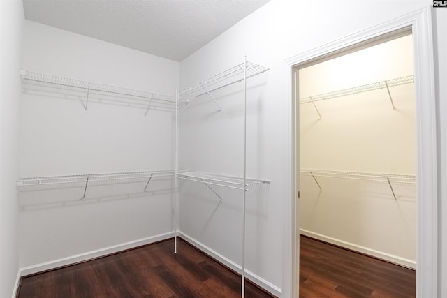 spacious closet featuring dark hardwood / wood-style floors