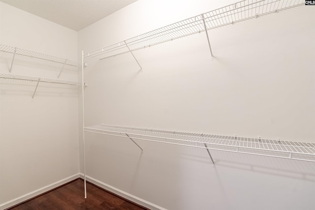 walk in closet with dark wood-type flooring