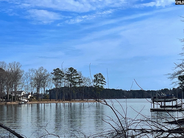 0 Osprey Pointe Ln Unit 20, Prosperity SC, 29127 land for sale