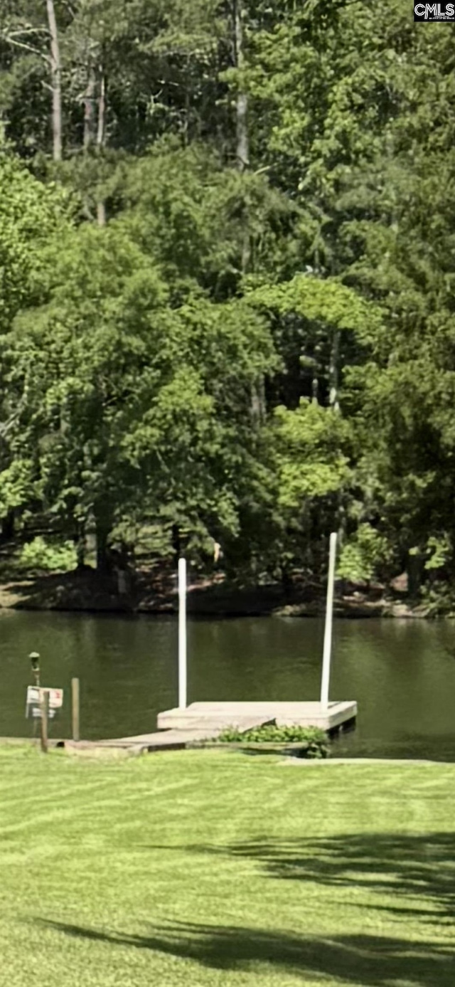 2002 Lystra Rd, Camden, SC 29020 - dock featuring a water view