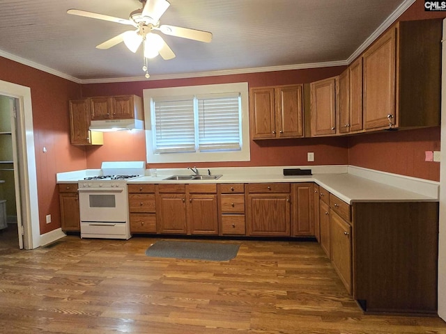 kitchen featuring crown molding, wood-type flooring, white range with gas cooktop, and sink