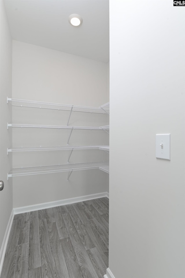 walk in closet featuring hardwood / wood-style floors