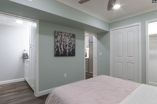 bedroom featuring ceiling fan, dark hardwood / wood-style floors, and a closet