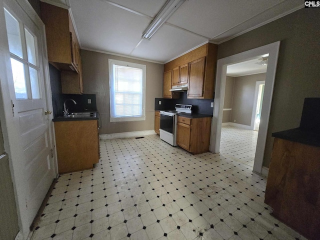 6500 White St, Kershaw, SC 29067 - kitchen featuring crown molding, white range with electric cooktop, and sink