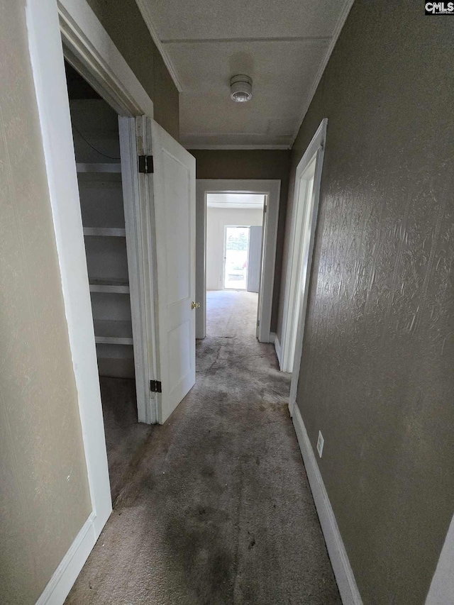 6500 White St, Kershaw, SC 29067 - corridor featuring ornamental molding, carpet floors, and a textured ceiling
