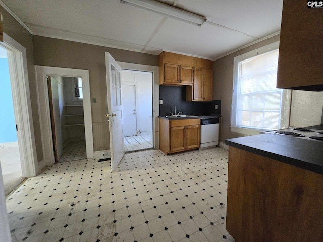 6500 White St, Kershaw, SC 29067 - kitchen with dishwasher, sink, and ornamental molding