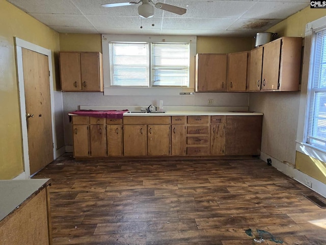 kitchen with ceiling fan, dark hardwood / wood-style floors, sink, and a wealth of natural light