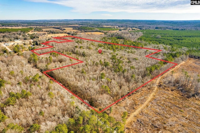 TBD Horatio Hagood, Rembert SC, 29128 land for sale