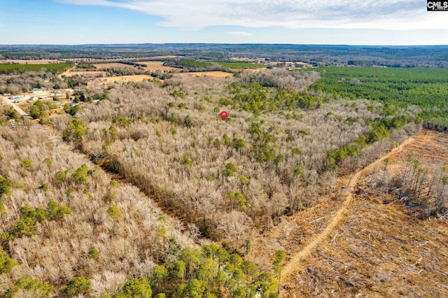 Listing photo 3 for TBD Horatio Hagood, Rembert SC 29128