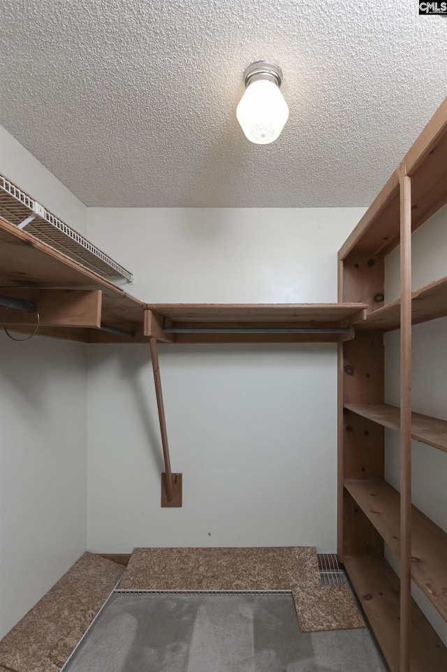 walk in closet with carpet floors