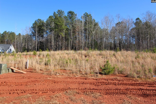 Listing photo 2 for Clouds Creek Rd, Leesville SC 29070